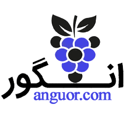 فروشگاه اینترنتی گلفروشی لوکس انگور