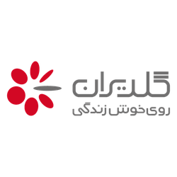 فروشگاه اینترنتی گلدیران پلاس