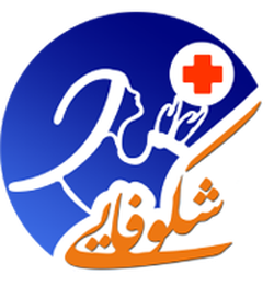 فروشگاه اینترنتی شرکت خدماتی شکوفایی